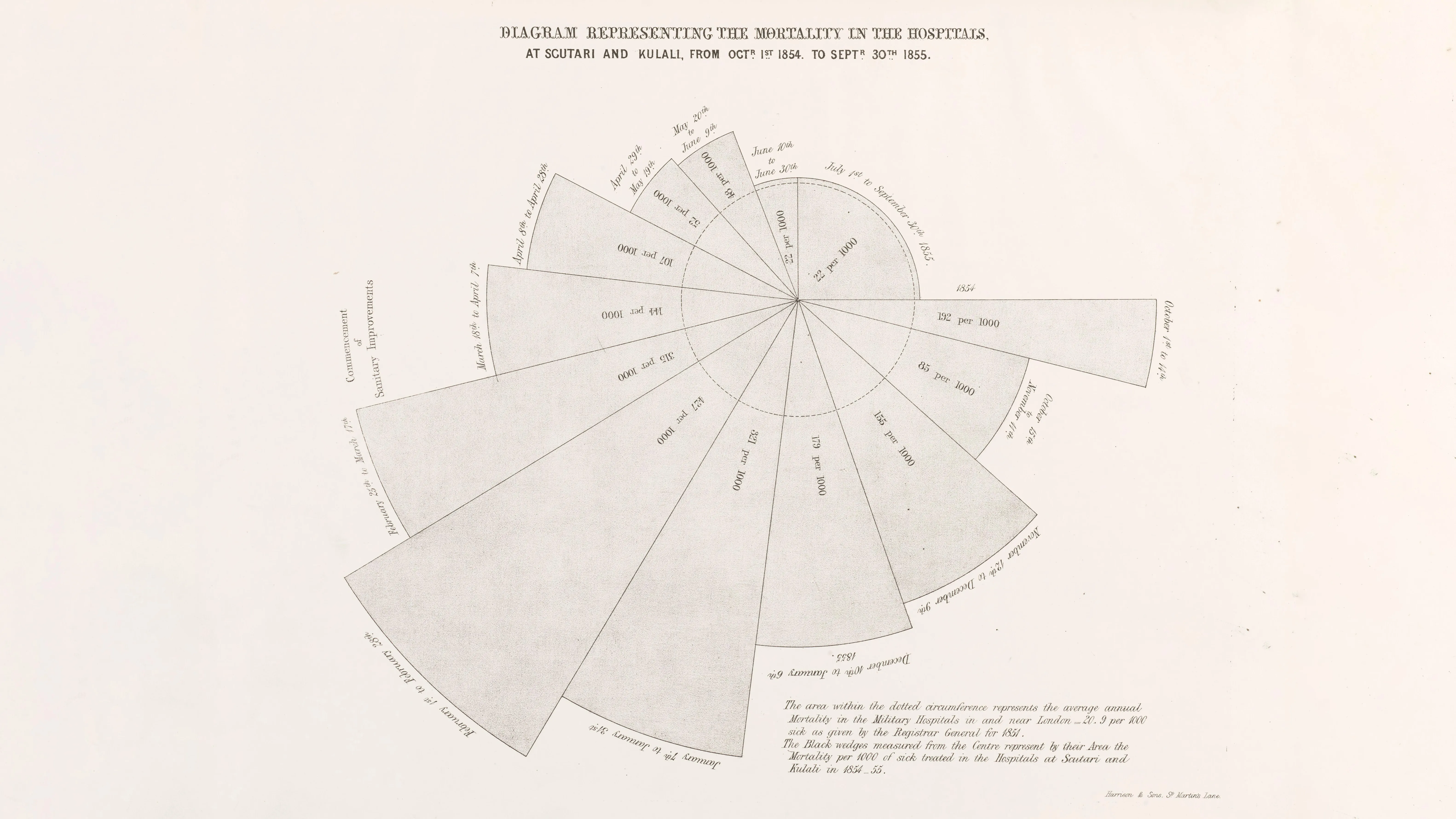 Diagrams Representing the Mortality in the Hospitals