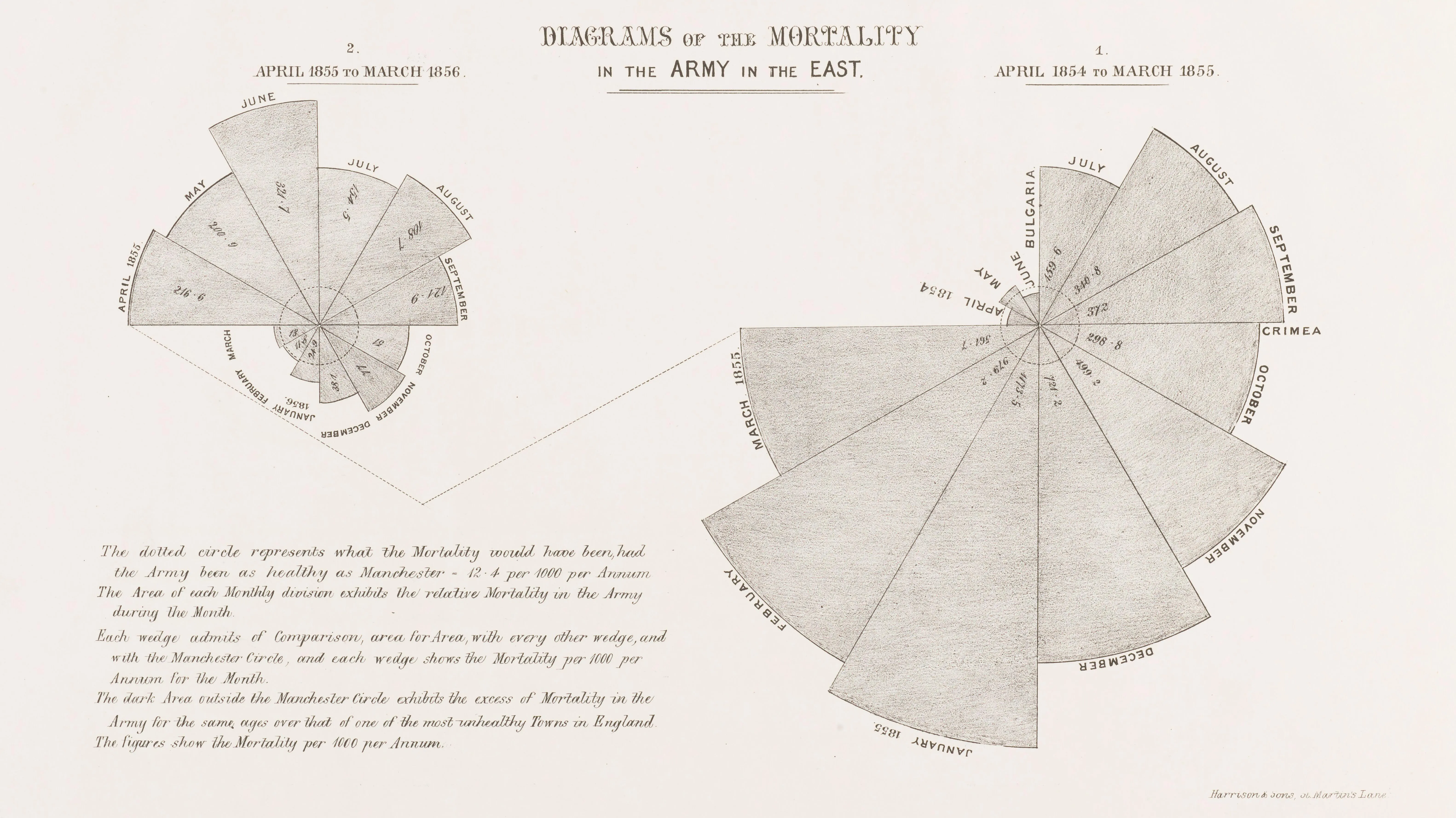 Diagrams of the Mortality in the Army in the East