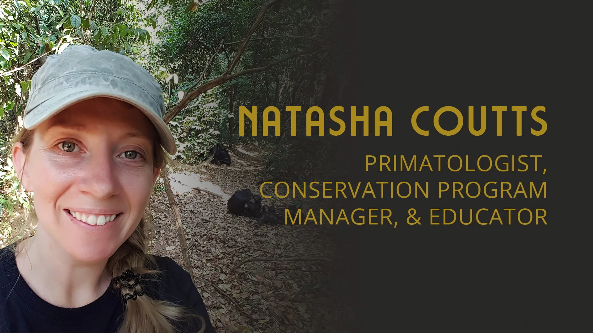 Chimpanzees, Habitat Fragmentation, and Gut Biomes