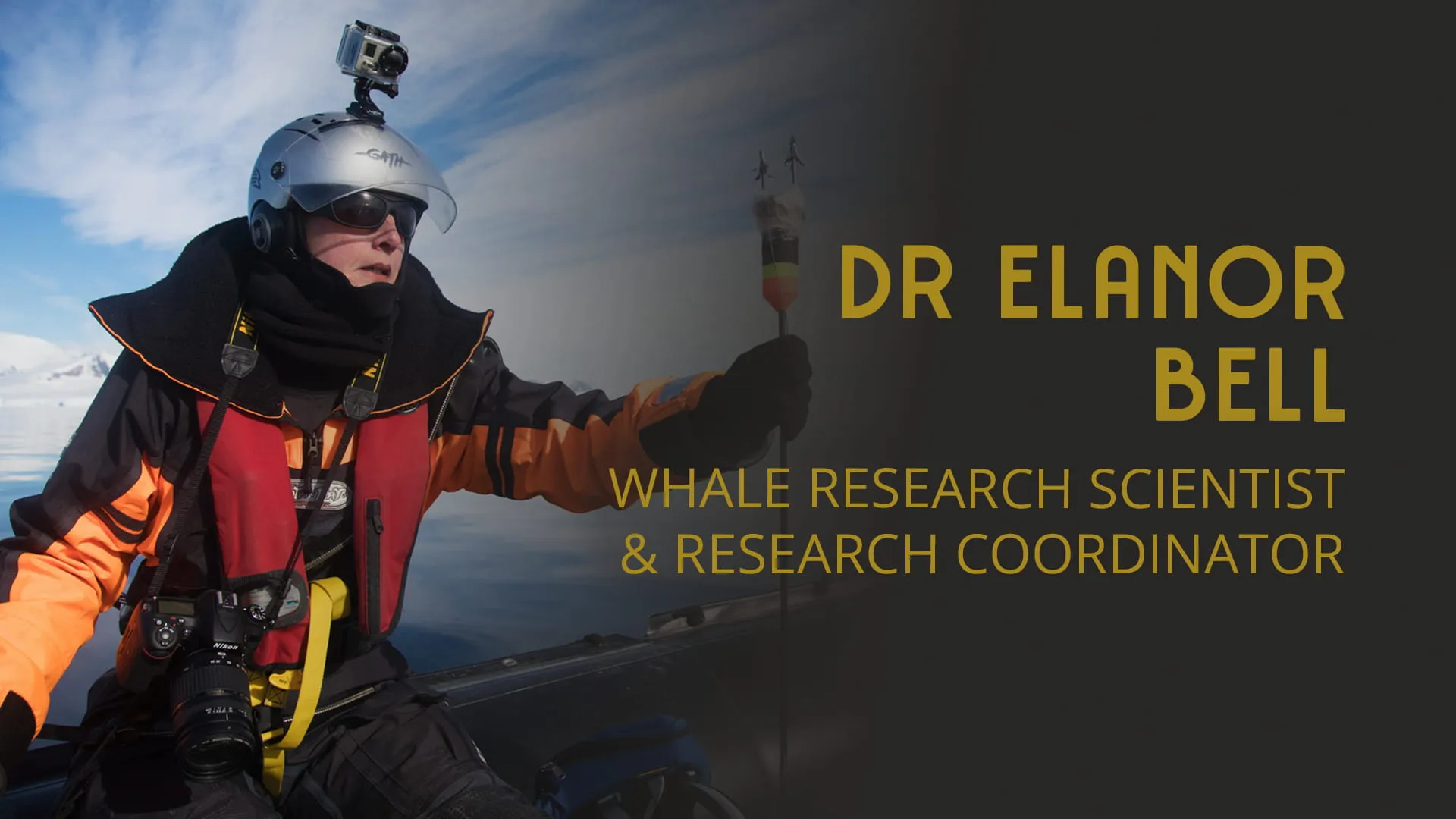 Antarctic Whales and Microbial Ecology